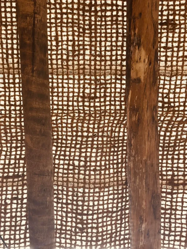 Malla de coco premium