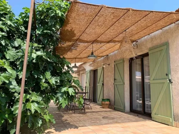 Malla de coco decoración y paisajismo