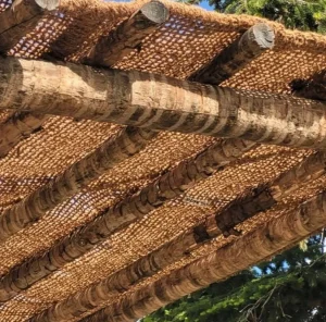 Malla de coco sombreados y pérgolas